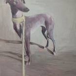 EL perro que soñaba con la luna by Pilar Álvarez