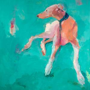 Collection Portraits of Man's Best Friend