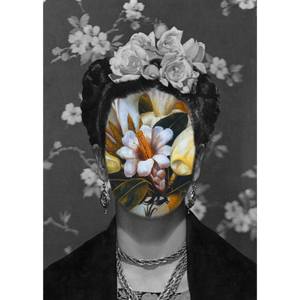 Collection Photography for $500 and Under