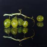 AGAIN GRAPES AND REFLECTION by Branislav Puletic