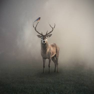 Saatchi Art Artist Luigi Quarta; Photography, “The silence of the fog - Limited Edition 6 of 10” #art