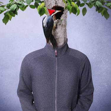 The woodpecker - Limited Edition 1 of 10 thumb