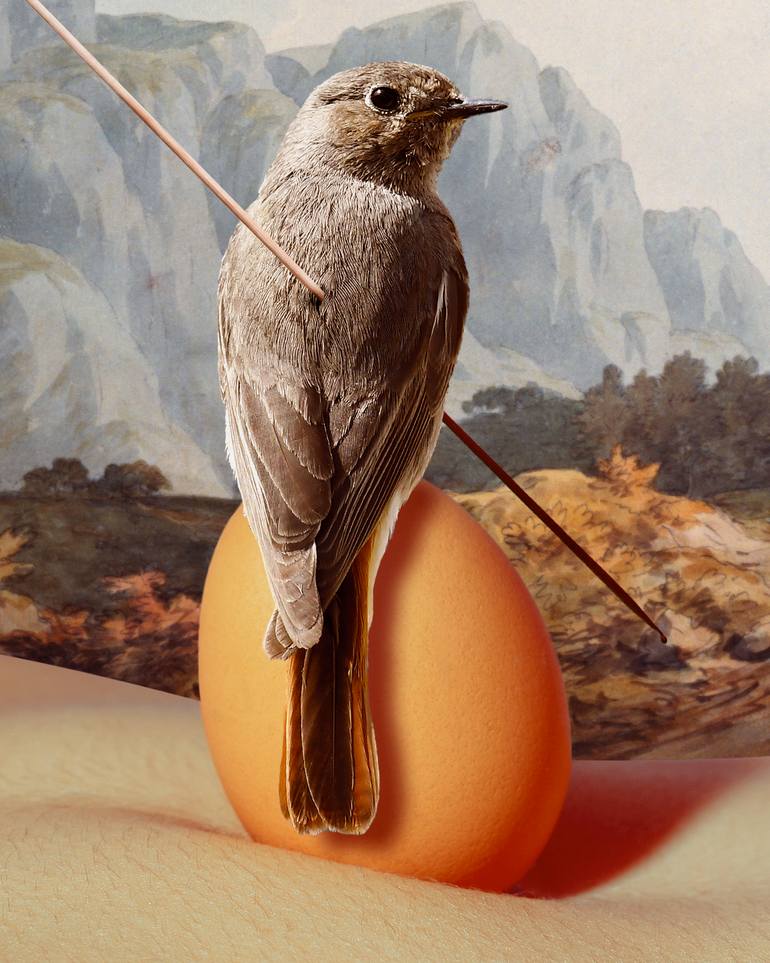 Original Conceptual Fantasy Photography by Luigi Quarta