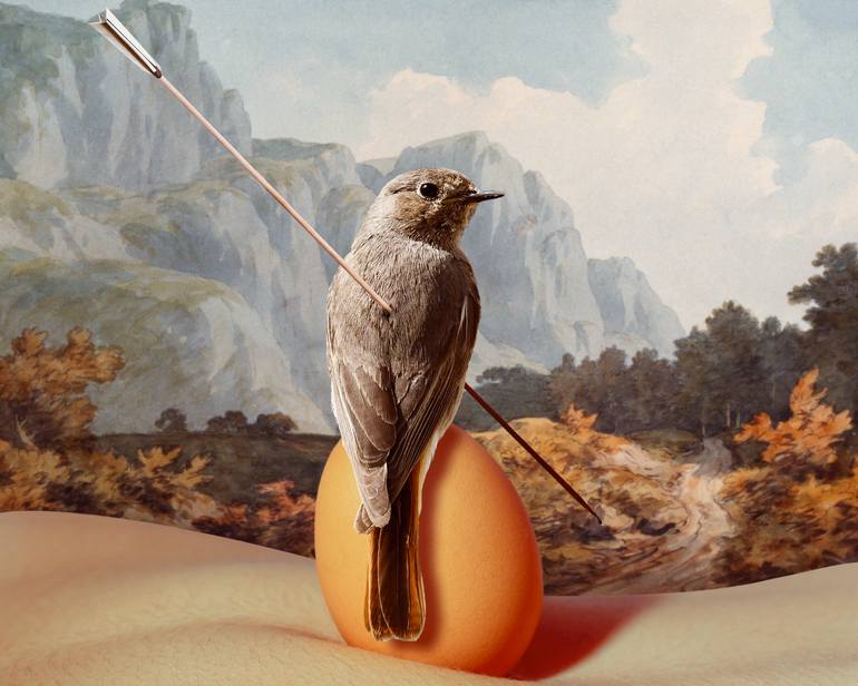 Original Conceptual Fantasy Photography by Luigi Quarta