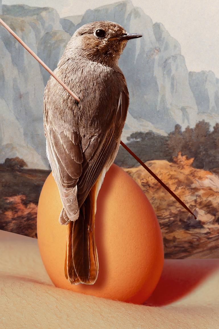 Original Conceptual Fantasy Photography by Luigi Quarta