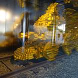 Gold train by Boris Gor