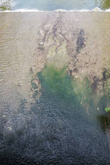 Print of Documentary Nature Photography by Boris Gor