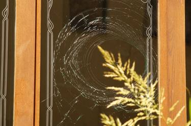 Original Abstract Wall Photography by Boris Gor