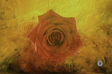 Rose E Small Canvas Identification No943LS Editions1/35 thumb