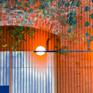 Collection Orange - Summer Session
