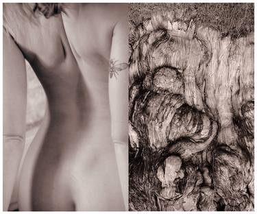 Original Fine Art Nude Photography by Nathalie Dubois