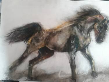 Original Animal Paintings by Lioda Conrad Fine Art