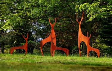 A Herd of Deer thumb