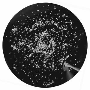 Eternal Constellation