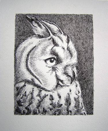 Print of Animal Drawings by Ana-Marija Salopek