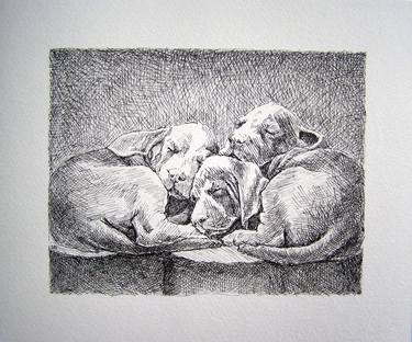 Print of Animal Drawings by Ana-Marija Salopek