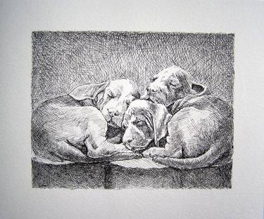 Print of Figurative Animal Drawings by Ana-Marija Salopek