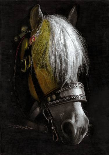 Cavallo Avellignese | Hafliger | Horse thumb