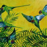 Parrots by Katarzyna Boguszewska