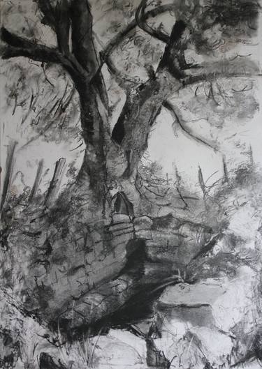 Print of Tree Drawings by Yvonne Henry