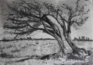 Original Expressionism Tree Drawings by Yvonne Henry