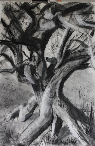 Original Expressionism Tree Drawings by Yvonne Henry