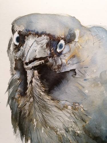 Original Expressionism Animal Drawings by Yvonne Henry