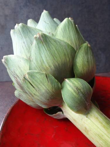 Artichoke Stem thumb