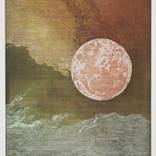 And the earth was without form and void - Limited Edition 1 of 25 by Annemarie Petri