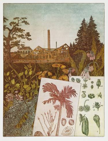 Original Garden Printmaking by Annemarie Petri