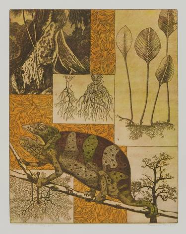 Original Nature Printmaking by Annemarie Petri