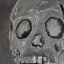 skulls are fascinating, each different but still the same
no living without it
The work was created on linen surface and painted with oil-paint and silver pigments
The work will be shipped stretched and ready to hang
The artwork is unframed
