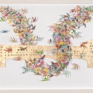 Collection Artists of the Week