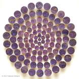 A Circle of Circles by Natasha Sorelli