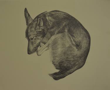 Print of Animal Drawings by jelena mavrić varga