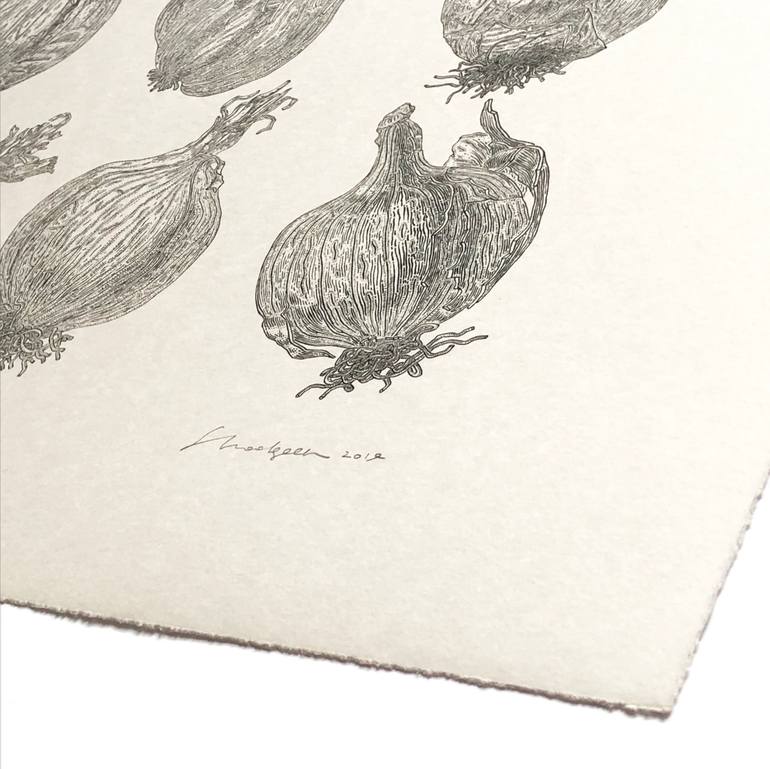 Original Conceptual Botanic Printmaking by Ivan Shoolgeen