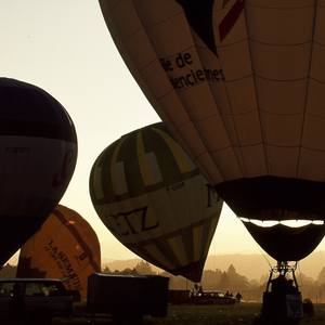 Collection LIBERTY SPORT