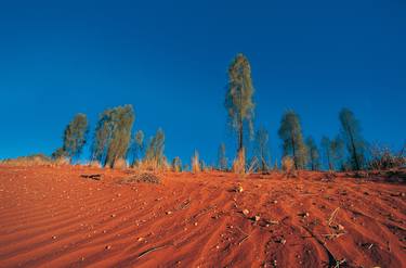 Australie. Landscape of the world thumb