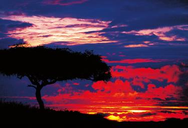 Kenya. Landscape of the world thumb