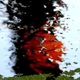 Collection Landscape Astract