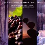 Collection Landscape of the world