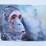 What great apes think about? what is hidden behind their grimaces and gestures? these questions have long been of concern to biologists around the world.

This work is original watercolor painting on 450g/cm² heavy "Hahnemühle" paper made in Germany.

You can put this painting under the mat and frame it.