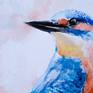 eisvogel