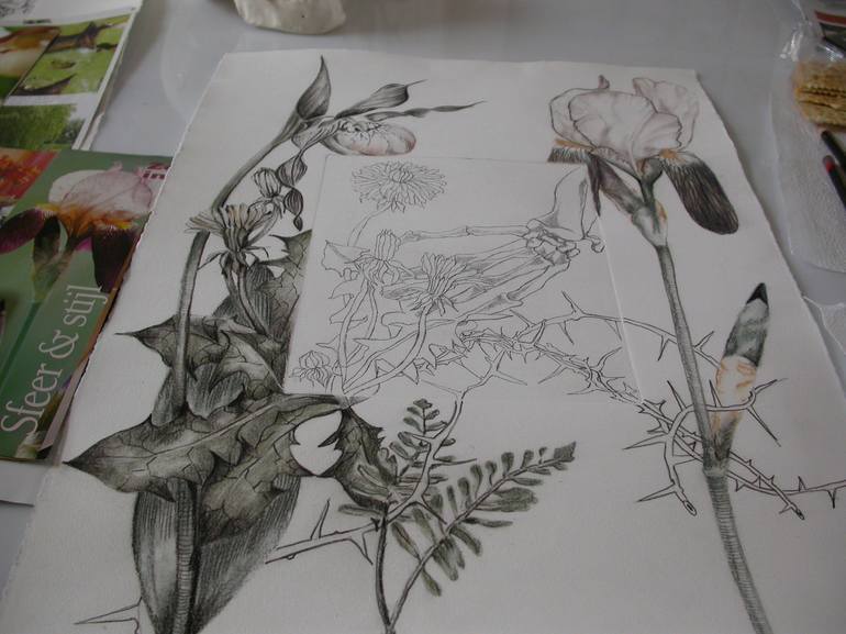 Original Botanic Drawing by Anita Salemink