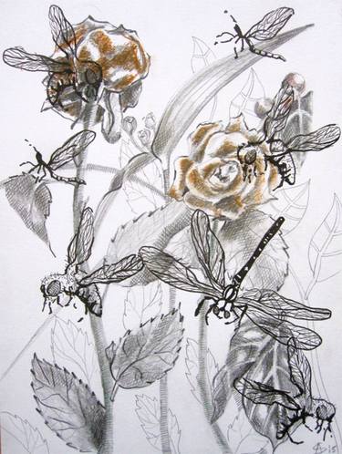 Original Figurative Botanic Drawings by Anita Salemink