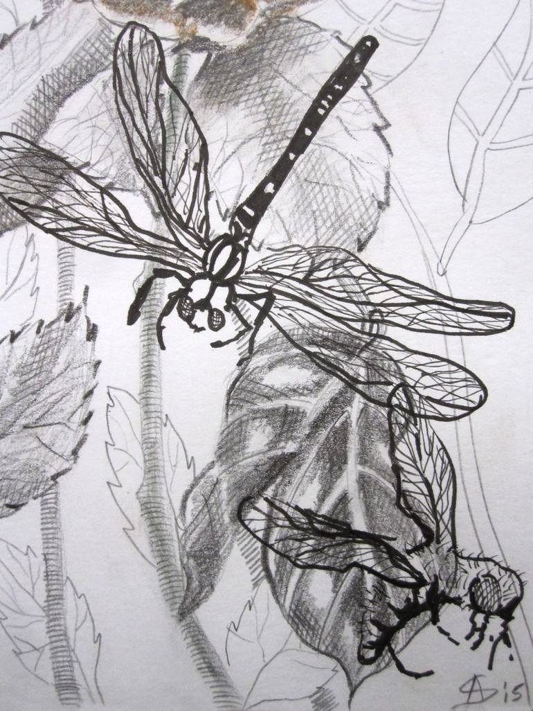 Original Figurative Botanic Drawing by Anita Salemink