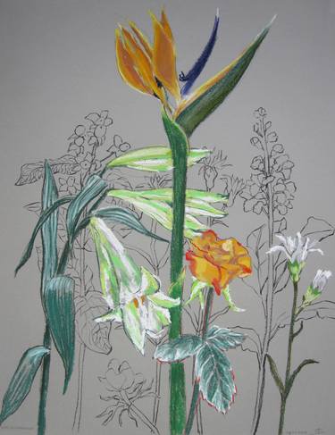 Print of Figurative Floral Drawings by Anita Salemink