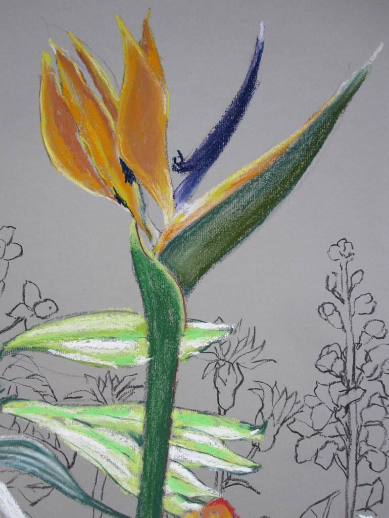 Original Figurative Floral Drawing by Anita Salemink