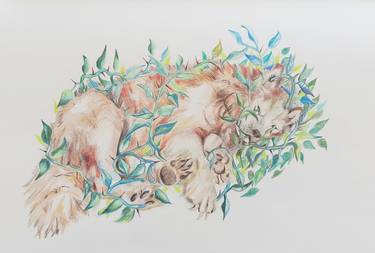 Print of Animal Drawings by Anita Salemink