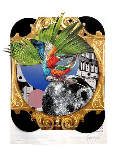 Print of Nature Collage by Luis Martin